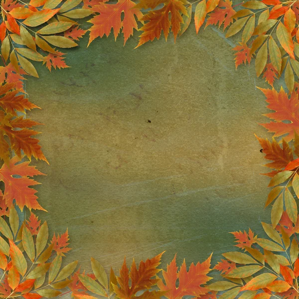 Яркие осенние листья на резюме с бумажной рамкой — стоковое фото