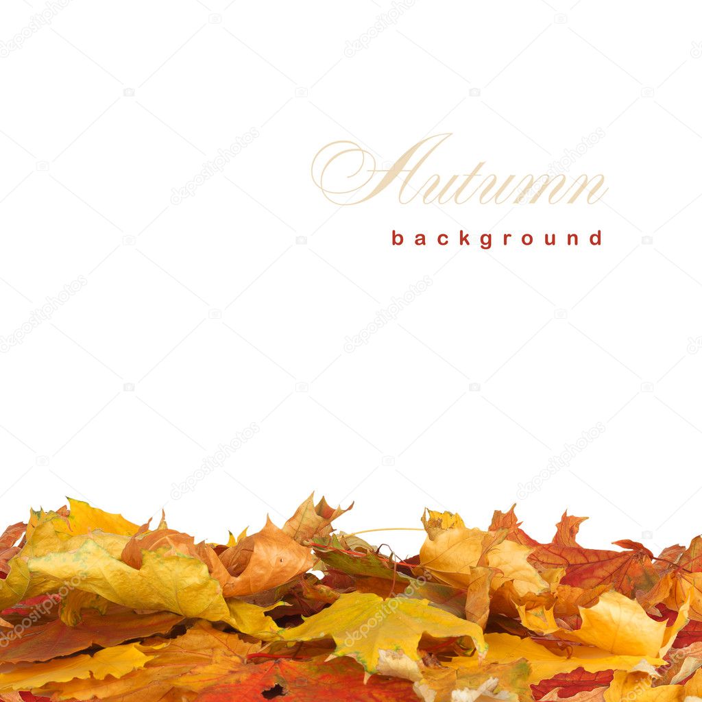 Bright autumn leaves on the abstract background with bokeh