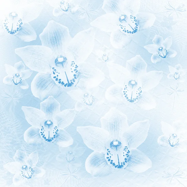 Cartão de convite ou congratulação com orquídeas e arco — Fotografia de Stock