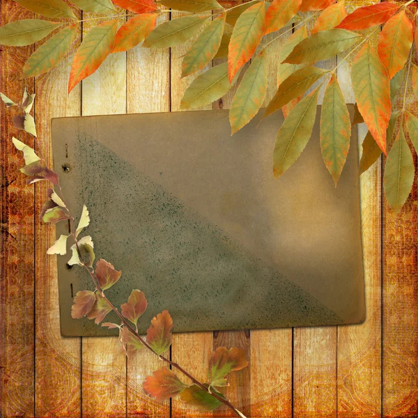 Grunge papers design in scrapbooking style with foliage and page — Stock Photo, Image