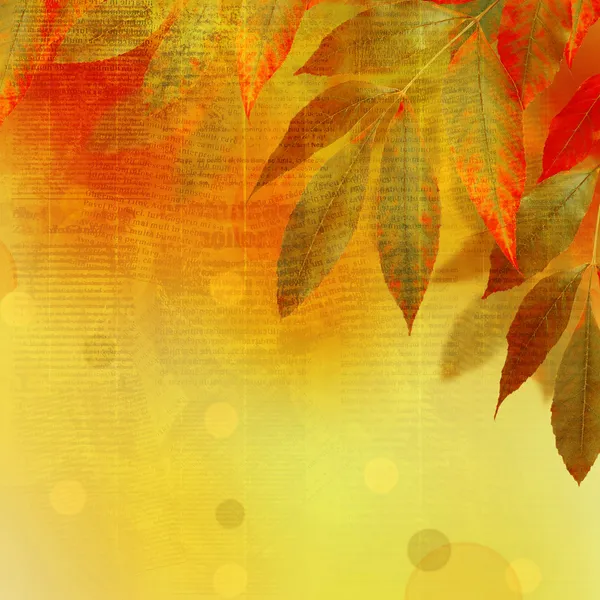 Folhas de outono brilhantes no fundo abstrato com manuscrito — Fotografia de Stock
