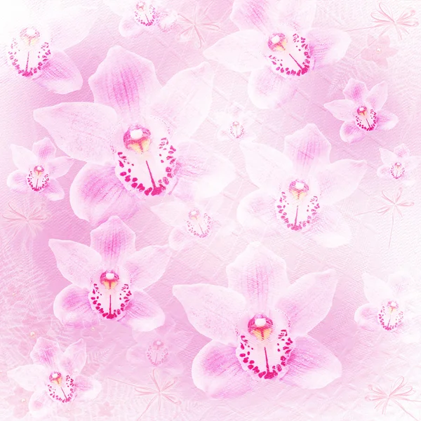 Card for invitation or congratulation with orchids and bow — Stock Photo, Image