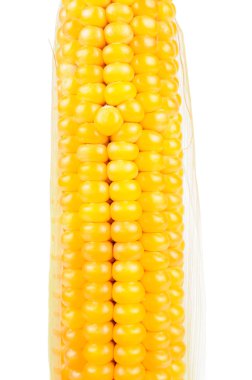 Corn on the Cob clipart