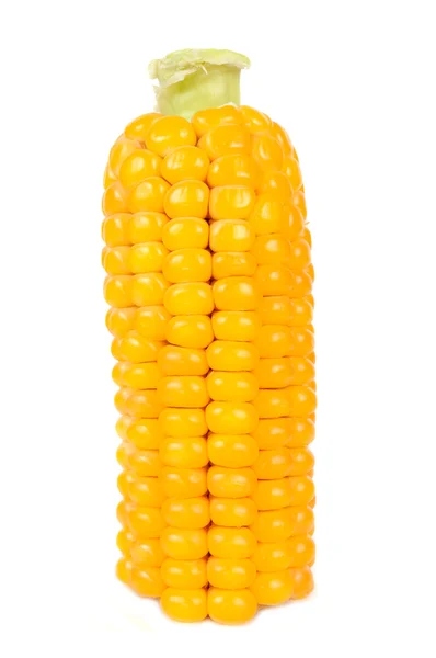 Кукуруза на початках — стоковое фото