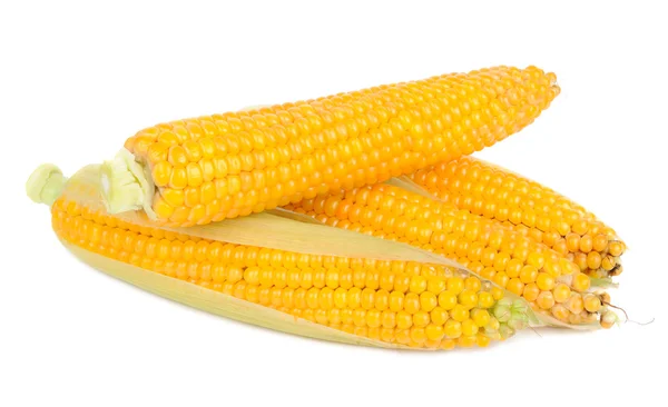 Maïs op de kolven — Stockfoto
