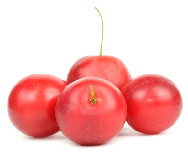 Ciruelas de cereza roja — Foto de Stock