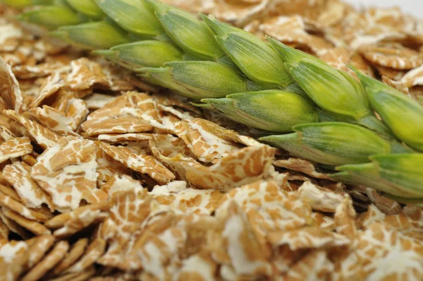 Pšeničné vločky a pšeničného — Stock fotografie