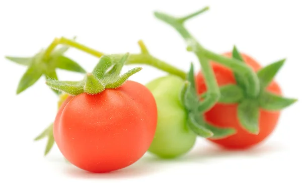 Zielone i czerwone pomidory cherry — Zdjęcie stockowe