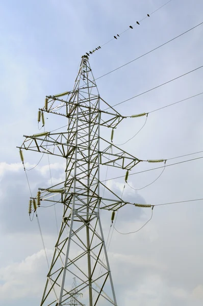 Электрический столб и птицы на линии электропередач — стоковое фото