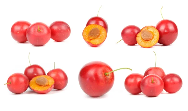 Conjunto de ameixas de cereja vermelha — Fotografia de Stock