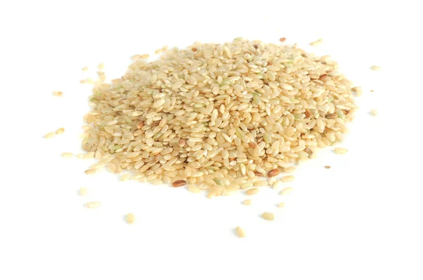糙米 — 图库照片