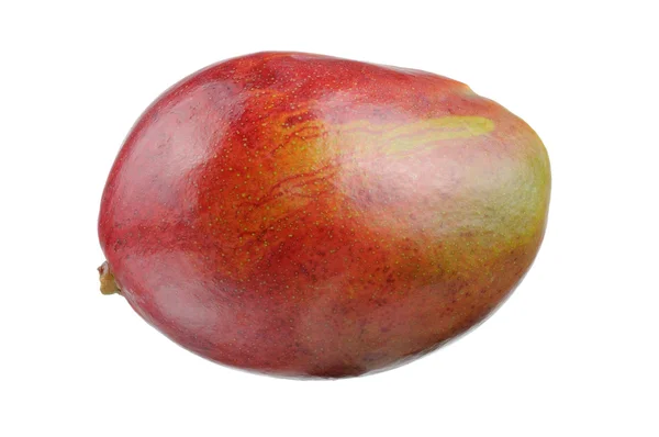 Mango Isolated on White Background — Stock Photo, Image
