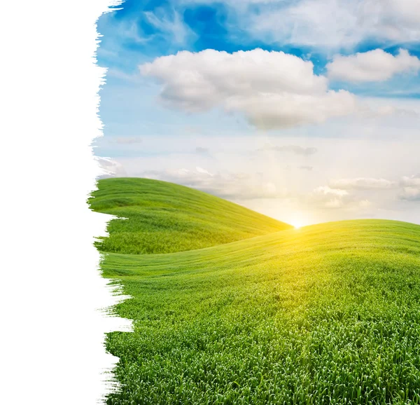 Zon stijgt boven de groene veld met kopie ruimte — Stockfoto