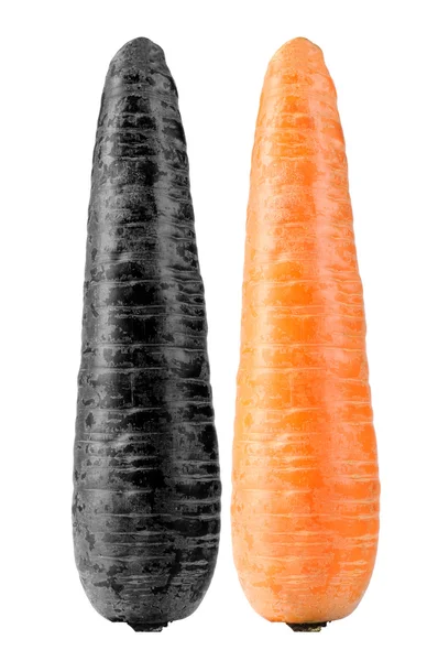 Zanahorias contaminadas y orgánicas — Foto de Stock