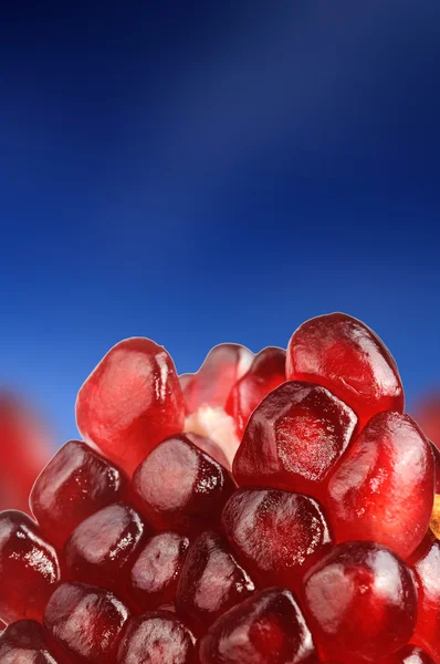 Granátové jablko semena na nebesky modré pozadí — Stock fotografie