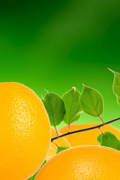 Πορτοκάλια με φύλλα σε πράσινο φόντο — Φωτογραφία Αρχείου