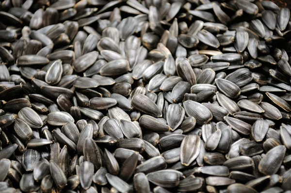 Siyah ayçiçeği tohumu — Stok fotoğraf