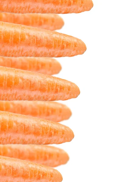 Zanahorias sobre fondo blanco — Foto de Stock