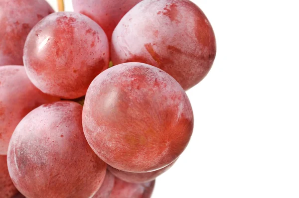 Fioletowy winogron makro na białym tle — Zdjęcie stockowe