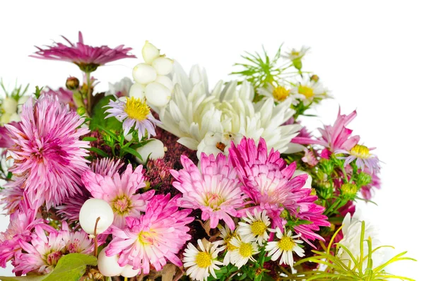 Piękny bukiet kwiatów na białym tle — Zdjęcie stockowe