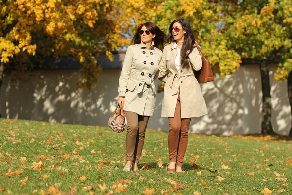 Gêmeas meninas, no parque de outono — Fotografia de Stock