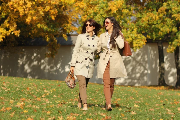 Mädchen Zwillinge, im Herbst Park — Stockfoto