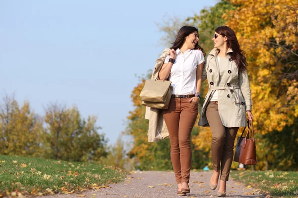 Two cheerful girls twins, in the autumn park — Stock Photo, Image