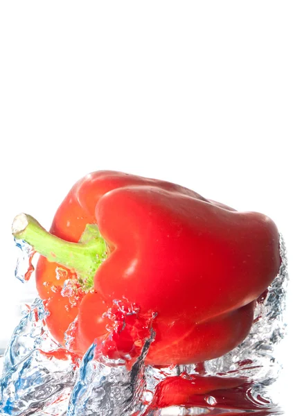 Piros paprika, víz alatt — Stock Fotó