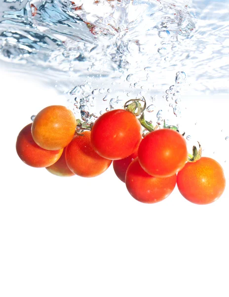 Rote Tomate Stockbild