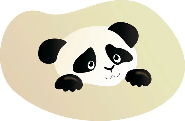Lilla panda ansikte. — Stock vektor
