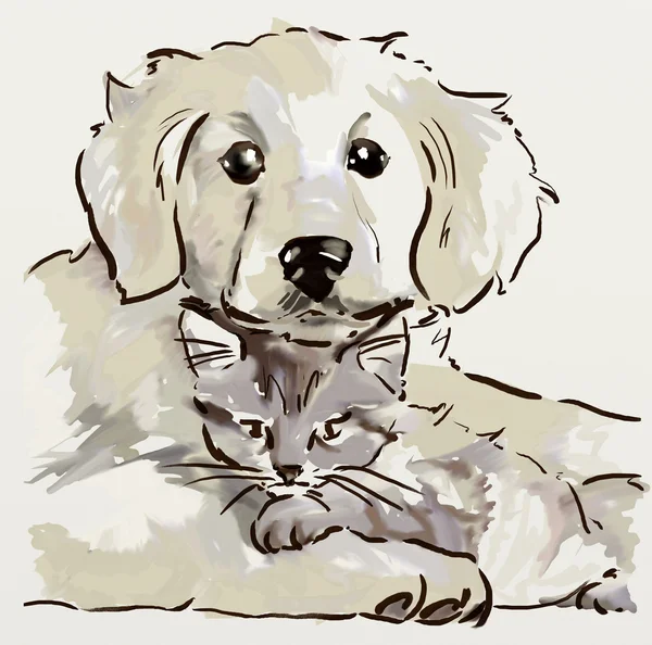 子犬と子猫 — ストック写真