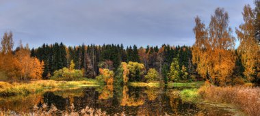 sonbahar gölün panoramik