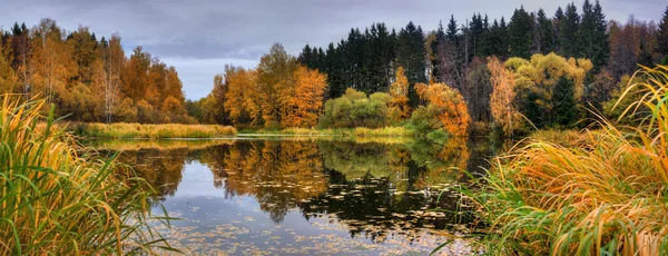Lago d'autunno Panoramico — Foto Stock