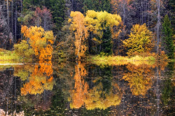 Jesień lustro — Zdjęcie stockowe