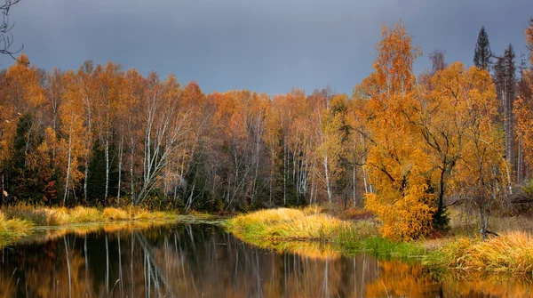 Herbstsee — Stockfoto