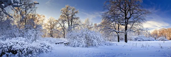 冬のパノラマ ストック画像