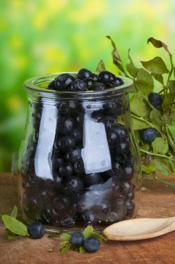 taze bilberry