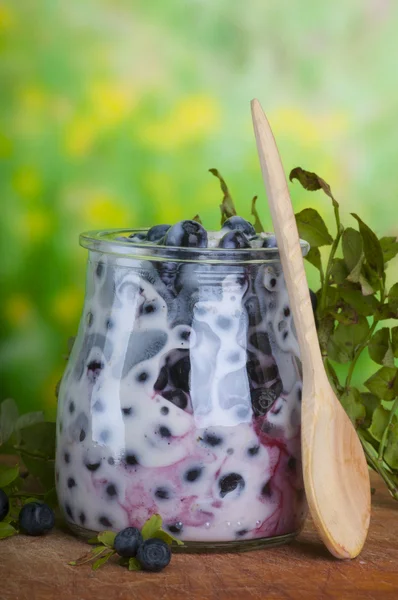 Bilberry yoghurt — Stock Photo, Image