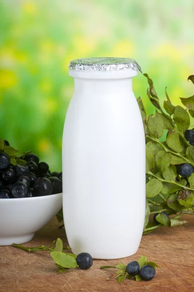 Bilberry yoghurt — Stock Photo, Image