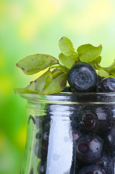 Fresh bilberry — Stock Photo, Image
