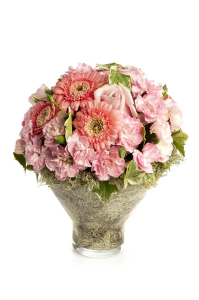 与 herbera 花束被隔绝在白色背景上的粉色康乃馨 — 图库照片
