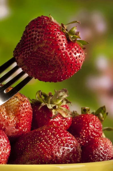 Fresh red strawberry on white background isolated — Stock Photo, Image