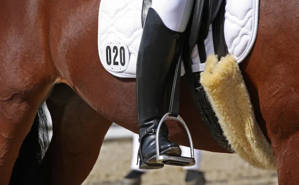 Human leg on horseback — Stock Photo, Image
