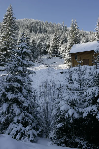 被雪覆盖的房子 — 图库照片