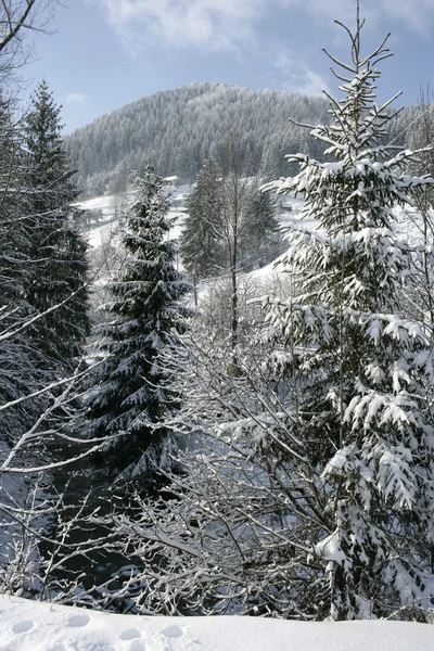 Góra zima — Zdjęcie stockowe
