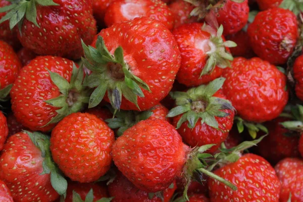 stock image Strawberries