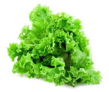 Lettuce salad clipart