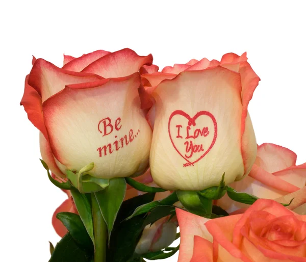 Rosas cor de rosa com inscrição — Fotografia de Stock