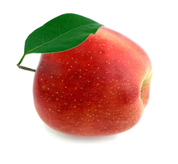 Μήλο κόκκινο πράσινο φύλλο — Φωτογραφία Αρχείου