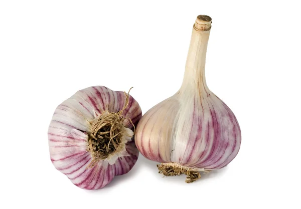 Garlic vegetable — Stock Photo, Image
